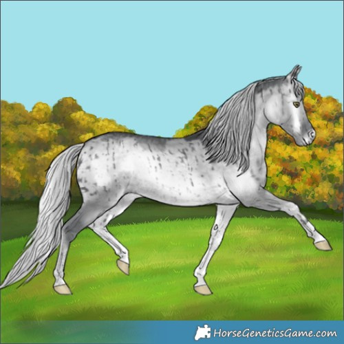 Horse Color:Silver Grullo Chinchilla Onyx Brindle 