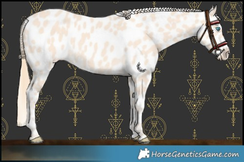 Horse Color:Perlino Near Leopard 