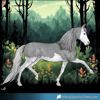 Horse Color:Silver Grullo Chinchilla Splash