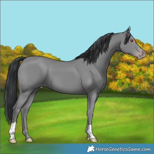 Horse Color:Classic Champagne Chinchilla 