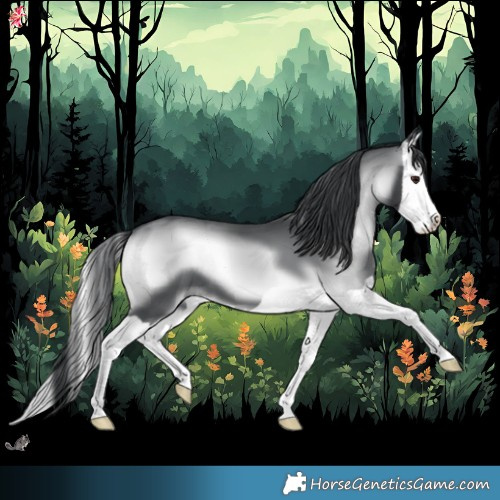Horse Color:Blue Onyx Chinchilla Splash