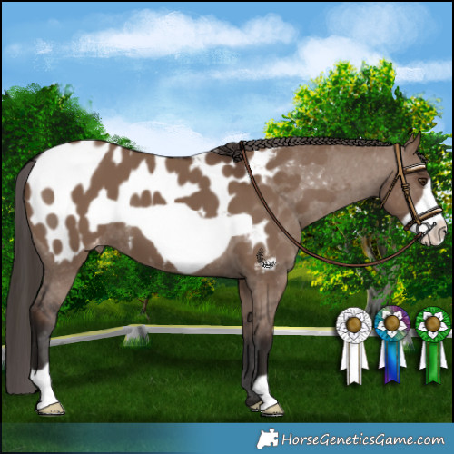 Horse Color:Liver Red Dun Frame Blanket 