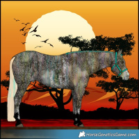 Horse Color:Palomino Ice Sabino