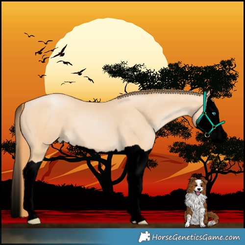 Horse Color:Void Buckskin Pearl Splash 