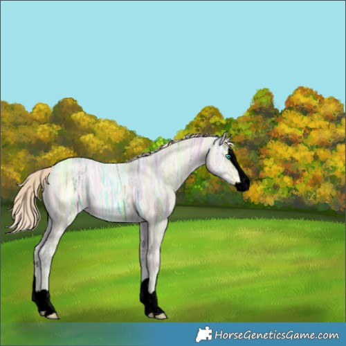 Horse Color:Void Perlino Ice Splash 
