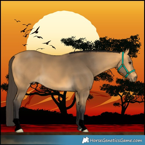 Horse Color:Void Buckskin 