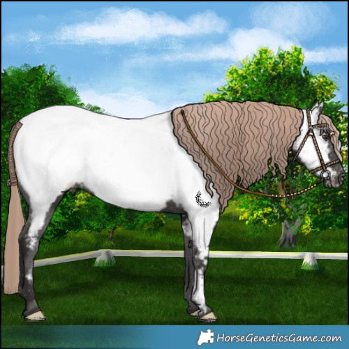 Horse Color:Liver Chestnut Near Fewspot 