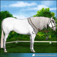 Horse Color:Liver Chestnut Near Fewspot 