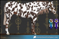 Horse Color:Liver Chestnut Leopard 