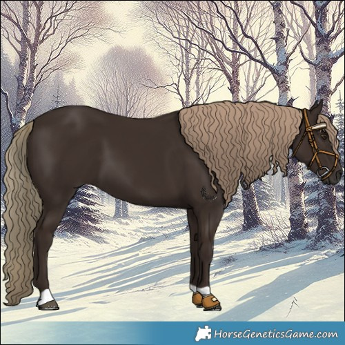 Horse Color:Liver Chestnut 