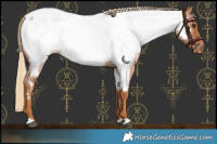 Horse Color:Red Roan Near Fewspot 