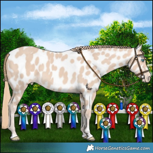 Horse Color:Perlino Near Leopard 