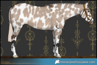 Horse Color:Liver Red Dun Mushroom Near Leopard 