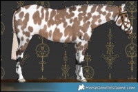 Horse Color:Liver Red Dun Mushroom Near Leopard