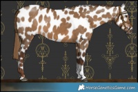 Horse Color:Gray Liver Red Dun Tobiano Near Leopard 