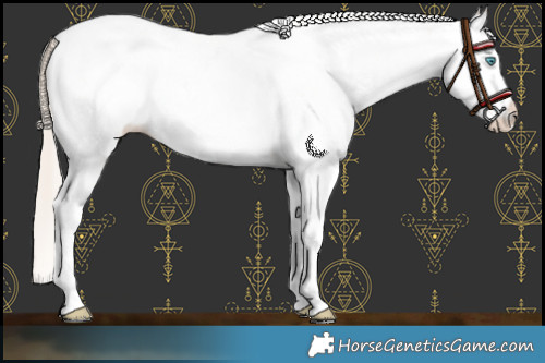 Horse Color:White Spotted Chocolate Palomino Pearl Appaloosa