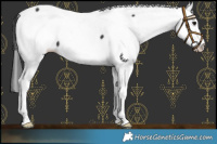 Horse Color:Black Fewspot 