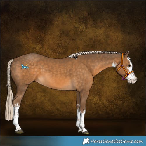 Horse Color:White Spotted Chocolate Palomino 