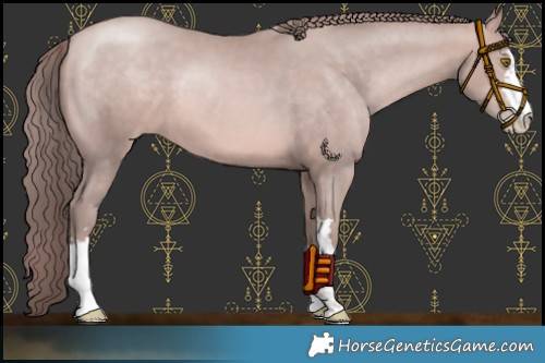 Horse Color:Platinum Bay Pearl 