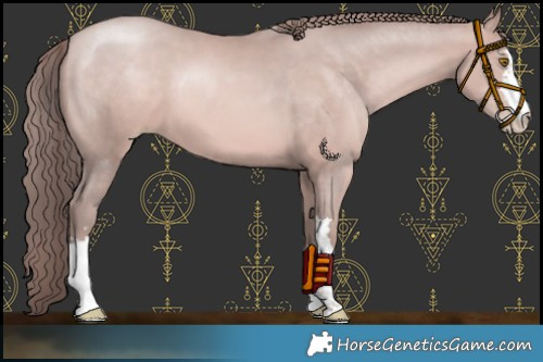 Horse Color:Platinum Bay Pearl