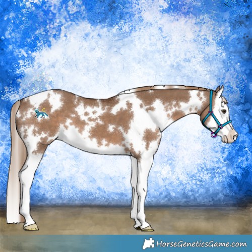 Horse Color:White Spotted Liver Red Dun Splash 