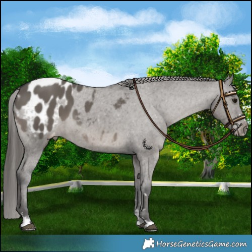 Horse Color:Grullo Mushroom Blanket 