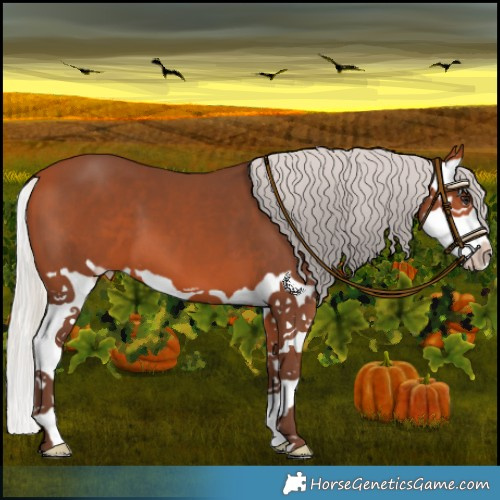 Horse Color:Silver Bay Splash 