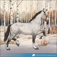 Horse Color:Brown Roan Dun Varnish 