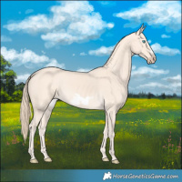 Horse Color:Perlino Frame 