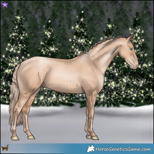 Horse Color:Gold Champagne Pearl