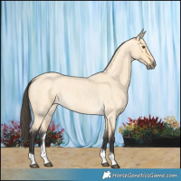 Horse Color:Buckskin Roan Dun Tobiano 