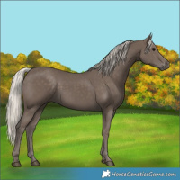 Horse Color:Silver Black 