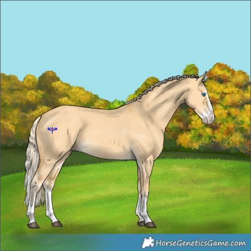 Horse Color:Palomino Dun Splash 