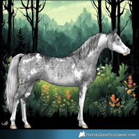 Horse Color:White Spotted Silver Grullo Chinchilla Sabino Brindle 
