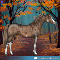Horse Color:White Spotted Liver Red Dun Splash Rabicano Brindle