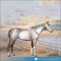 Horse Color:Gray Silver Black Pearl Tobiano
