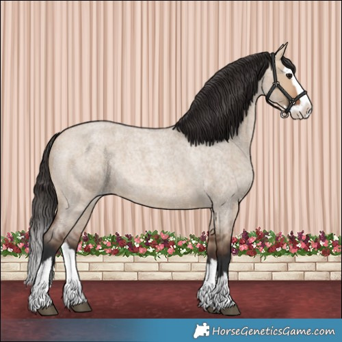 Horse Color:Bay Roan Dun Splash 
