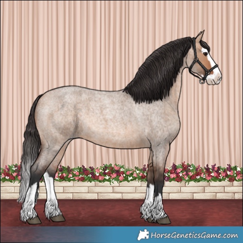 Horse Color:Bay Roan Dun Splash 
