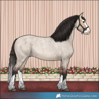 Horse Color:Bay Roan Dun Splash 
