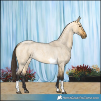 Horse Color:Buckskin Roan Dun Tobiano 