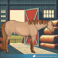 Horse Color:Red Dun