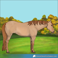 Horse Color:Red Dun 