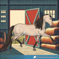 Horse Color:Bay Dun 