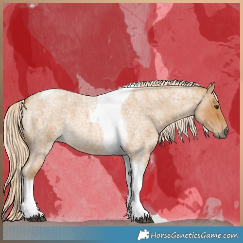 Horse Color:Palomino Roan Tobiano 