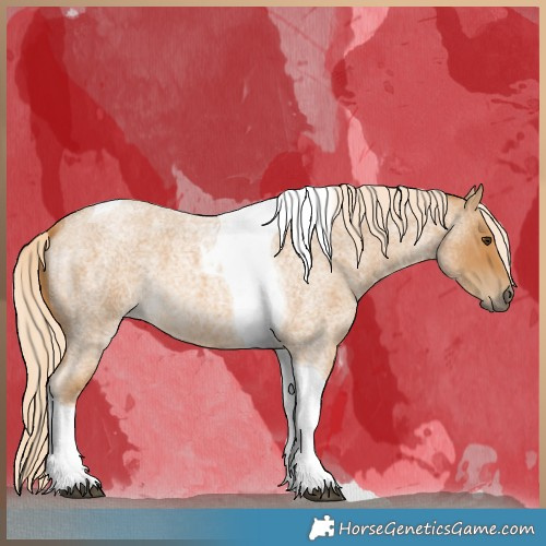 Horse Color:Palomino Roan Tobiano 