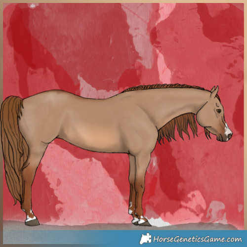 Horse Color:Red Dun 
