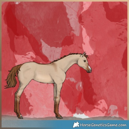 Horse Color:Red Dun 