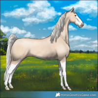 Horse Color:Silver Classic Champagne Dun Splash Frame 