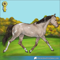 Horse Color:White Spotted Liver Red Dun Tobiano Rabicano