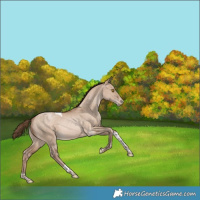 Horse Color:Bay Pearl Dun Tobiano Rabicano 